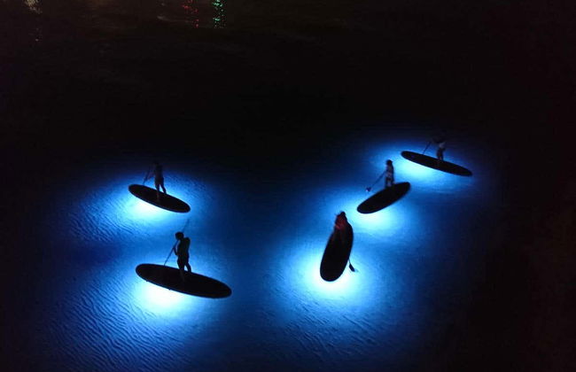 Night Paddle Surf Tour in Jávea - Foto 4
