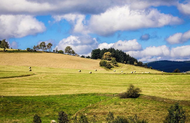 Holiday Complex Erzgebirge Idyll, Breitenbrunn - Foto 28