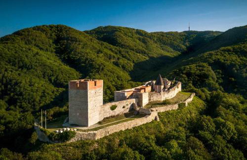 Green Hill Zagreb Apartments - Foto 40