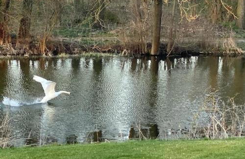 Zum Böhmen Ferienwohnung Fridericke Ferienhaus am See - Urlaub Ferien in Bad Langensalza - Foto 23