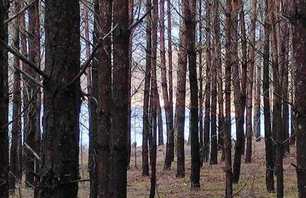 Dom za wydmą - Foto 61