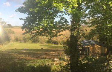 Higher Trewithen - Photo 62