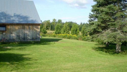 Rustic Family-Friendly Cabin Rental with Full Kitchen in the Northeast Kingdom of Vermont - Foto 5