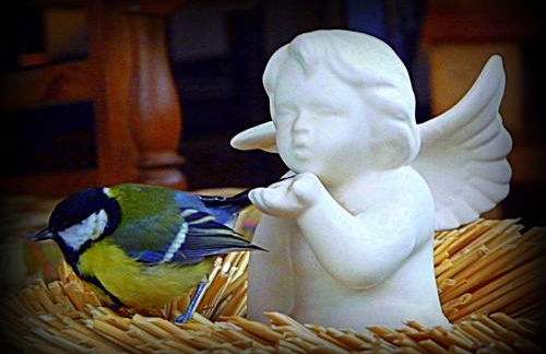 Agriturismo Borgovecchio - Foto 28