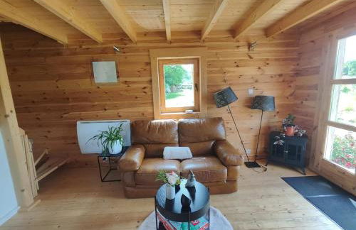 Au chant des oiseaux - rouge gorge - Foto 9