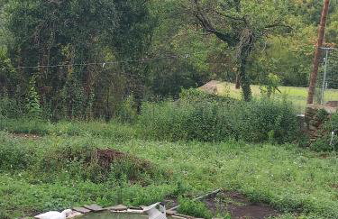 Stonehouse Karidis - Foto 55