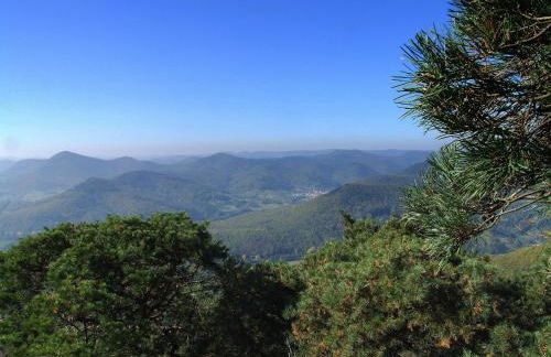 Ferienhaus Schönbachhof - Foto 36