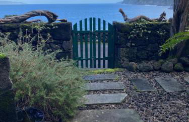 Adega Baia do Canto AL 1398 - Photo 16