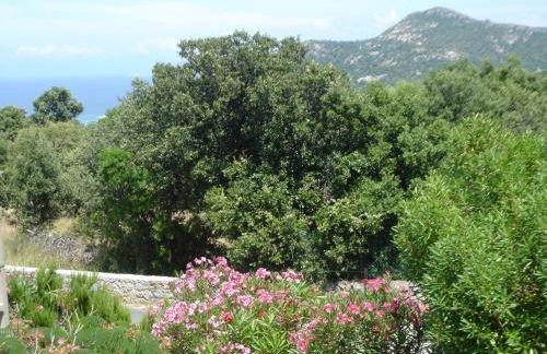 Residence Motel Corsicana - Foto 65