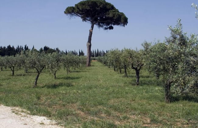 Agriturismo Carbona - Foto 35