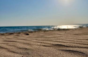 Hermes Grove - Foto 27