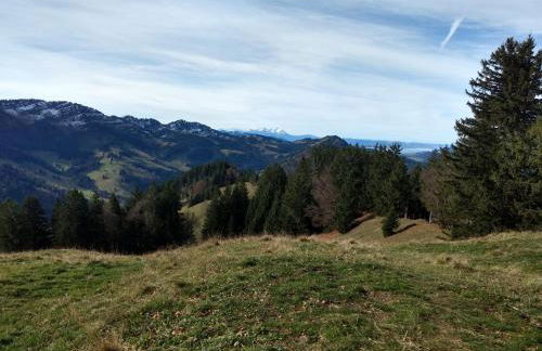 Eistobel und Felderhalde - Foto 20