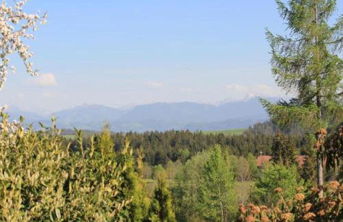 Villa in Bayern nahe Skiloipen & Sauna - Photo 74