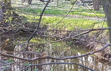 Haus Lisbeth - Foto 25