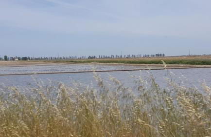 Apartamento El Fangar - Foto 45