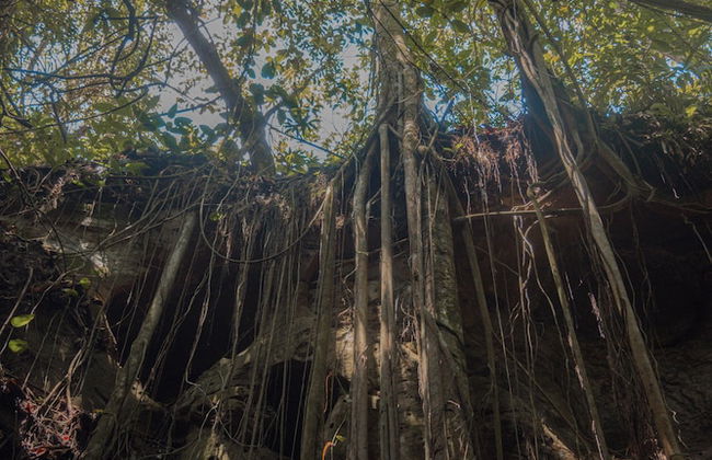 finca recreacional la fortaleza - Foto 15