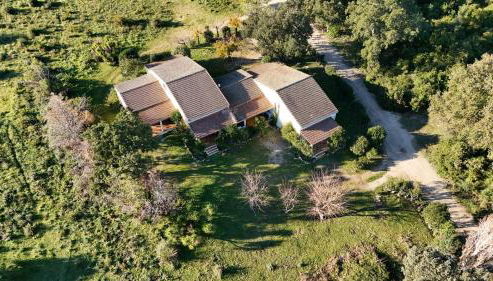 Palauma Plage - Foto 3