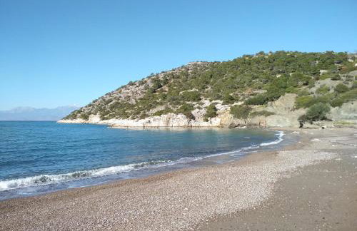 Palm tree house by the beach - Foto 54