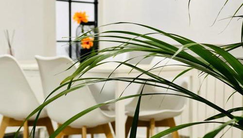 BEST FLAT NEAR REAL MADRID STADIUM - Foto 1