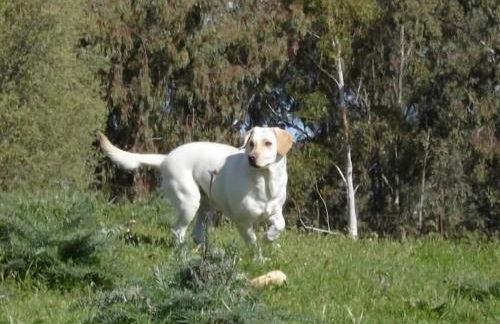 Apartamentos en sierra de gata ALMA - Foto 23