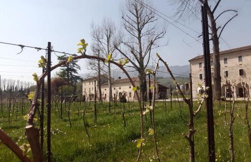 Agriturismo La Bella - Foto 13