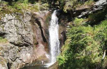 Ferienland Sonnenwald Fewo 46 - Foto 41