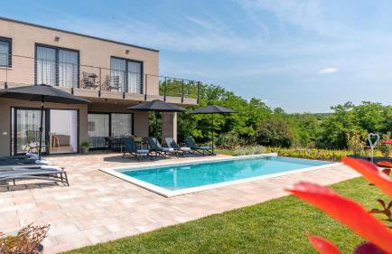 Beautiful villa Perlin with pool in Visnjan - Photo 12