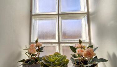 Lana #Clim#Terrasse - Meublé classé 3étoiles - Photo 4