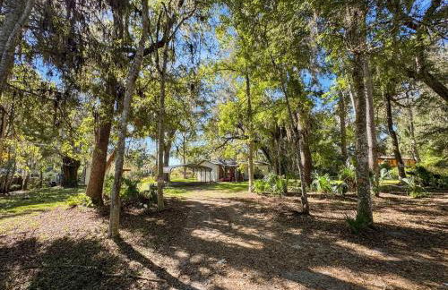 Forest Hideaway • Screened Porch • Grill - Foto 55