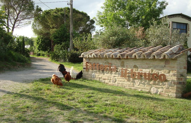Agriturismo Fattoria Il Bruco - Foto 58