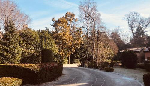 Maison d'Elite - Foto 3, Garden