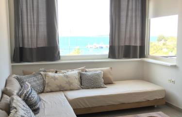 Aristotelia Gi - Panorama - Photo 9