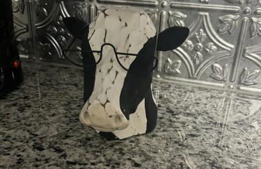 Country Lake Ranch - Foto 6