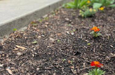 The Coop on Cooper - Foto 12