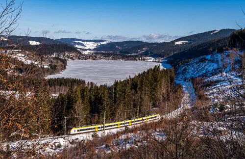 Ferienwohnung im Haus Rhea am Südhang- Feldberg- Falkau - Foto 19