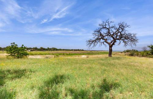Lone Star Oasis - Foto 20
