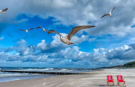 Rezydencja Niechorze 224 z Basenem, Sauną, Jacuzzi w cenie - 5D Apartments - Foto 21