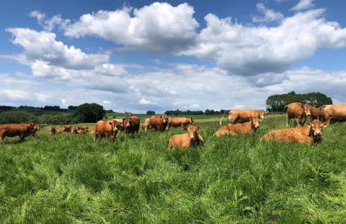 Ferienwohnung auf dem Bauernhof in Hachenburg Hof Kleeberg II - Foto 18