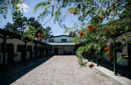 Herdade de Montalvo - Comporta - Photo 40