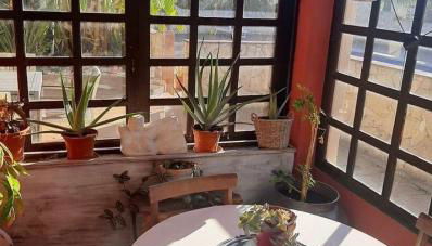 Cama da Vaca - Foto 3