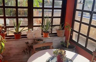 Cama da Vaca - Foto 3