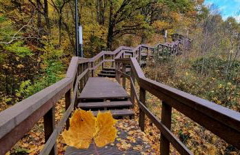 Leśna Przystań Rumia - obok Gdyni i Aquaparku Reda - Foto 54