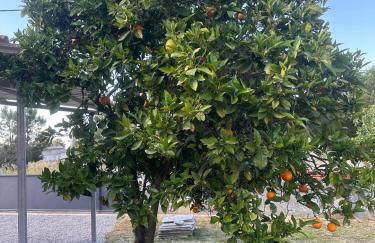 Casa Silva Barreiro - Foto 15