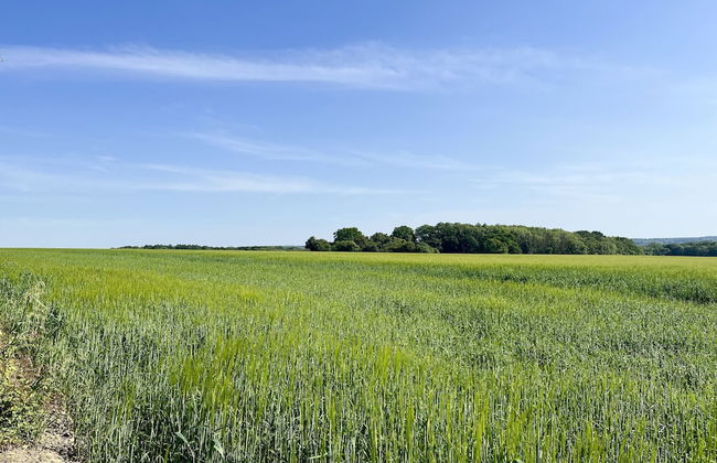 The Crooked Gate - Luxury Romantic Getaway - Foto 80