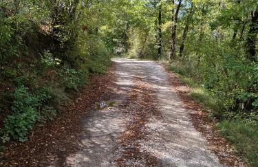 la masseria di Antonio e Teresina - Foto 33