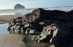 Manor Lake Lodge Exclusive luxury lodge retreat - Foto 7