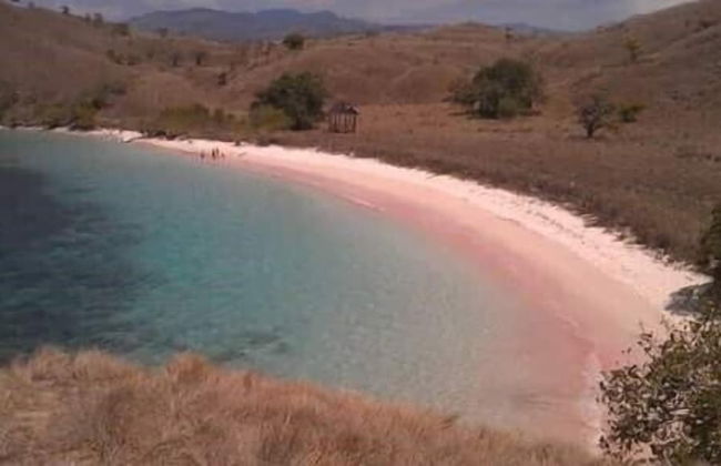 Komodo Boat Trip - Foto 29