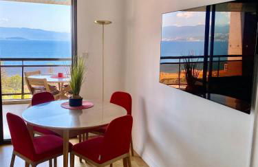 Grand T2 STANDING AJACCIO Proche centre et plages VUE PANORAMIQUE PARKING PRIVE - Foto 14