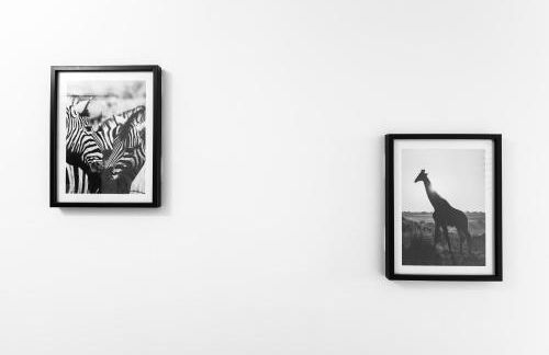 DORMIR A CLERMONT-FERRAND - Safari - Foto 15