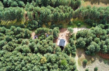 Dziupla House - Foto 29